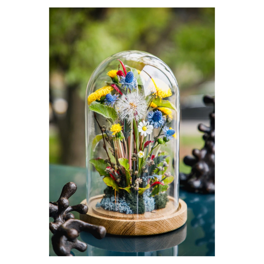 Одуванчики с синеголовником,тимофеевкой,ромашками,пушистиком из хол. фарф. в куполеН25,подст. масив