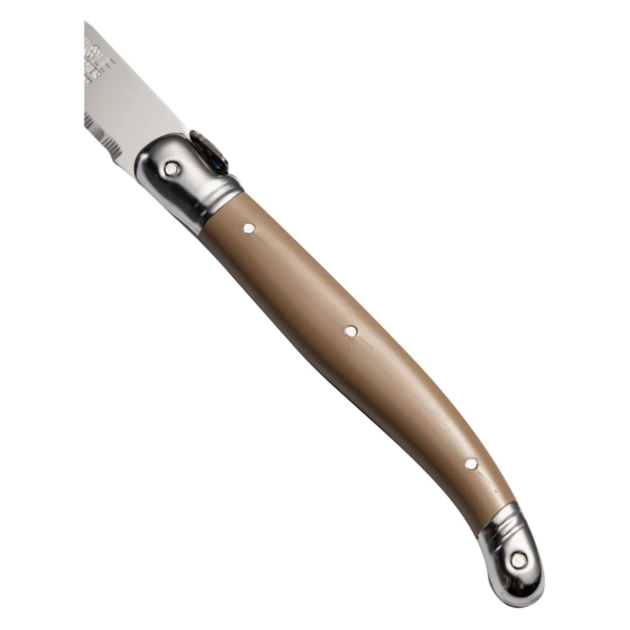 Набор ножей для стейка ANDRE VERDIER Laguiole Debutant Tradition, 6 шт, в блоке, разноцветный, п/к