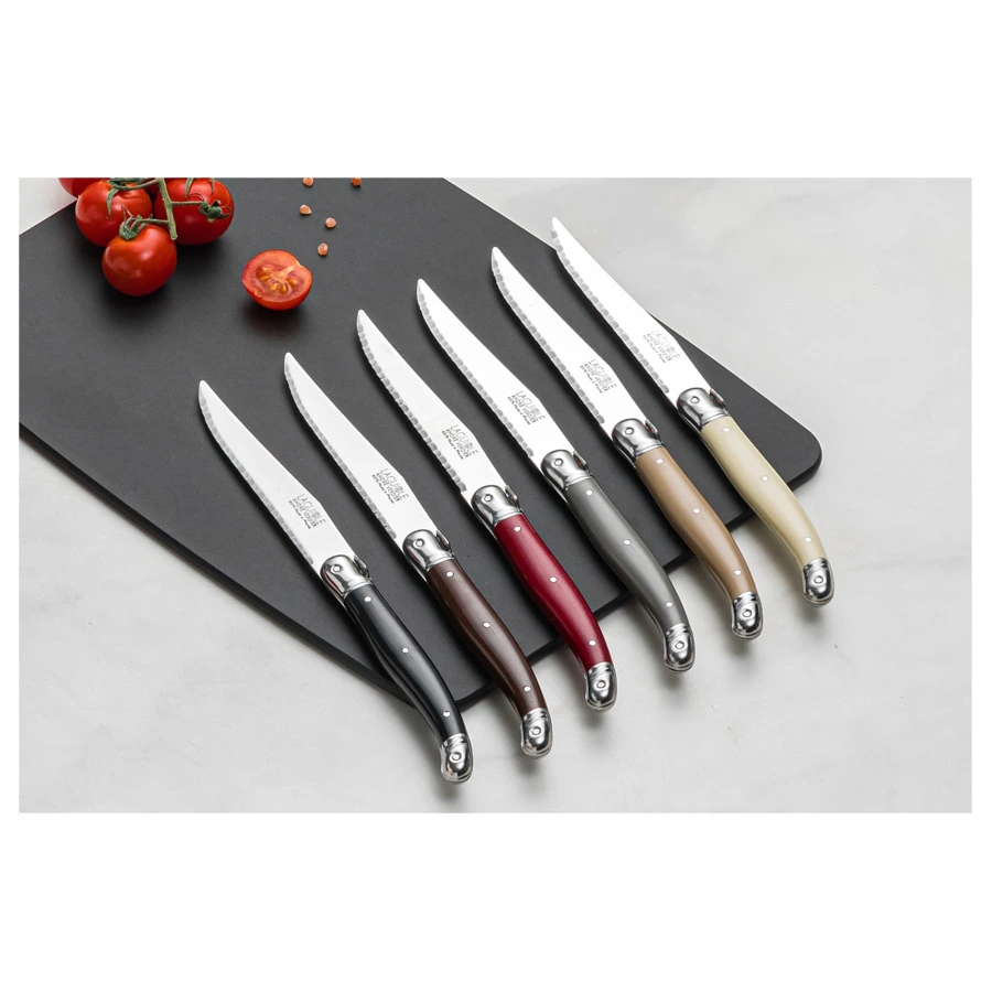 Набор ножей для стейка ANDRE VERDIER Laguiole Debutant Tradition, 6 шт, в блоке, разноцветный, п/к