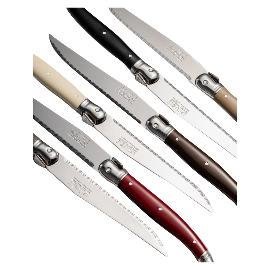 Набор ножей для стейка ANDRE VERDIER Laguiole Debutant Tradition, 6 шт, в блоке, разноцветный, п/к