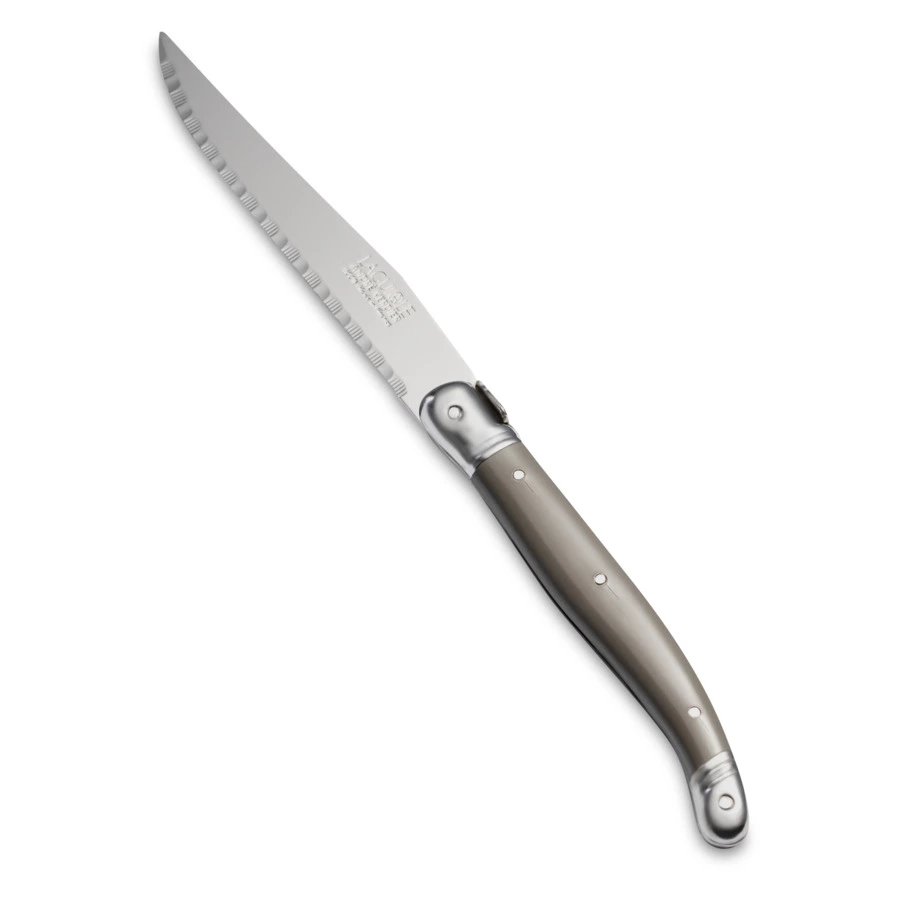 Набор ножей для стейка ANDRE VERDIER Laguiole Debutant Tradition, 6 шт, в блоке, разноцветный, п/к