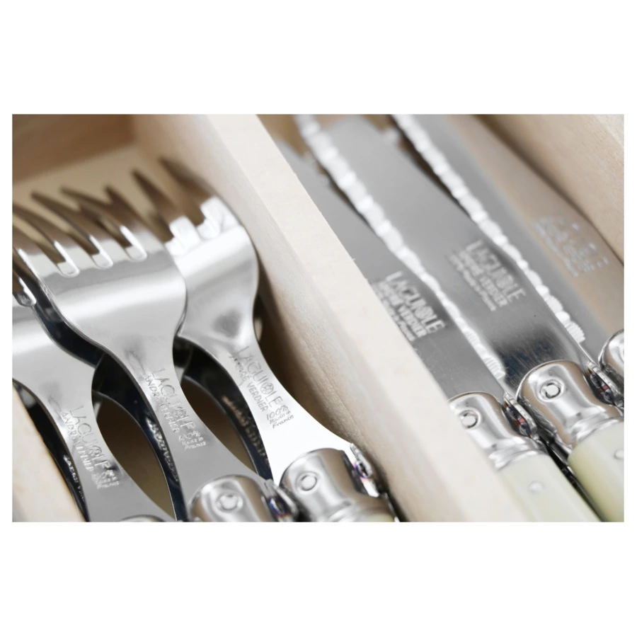 Набор столовых приборов ANDRE VERDIER Laguiole Essentiel Debutant на 6 персон 24 предмета, белый,п/к