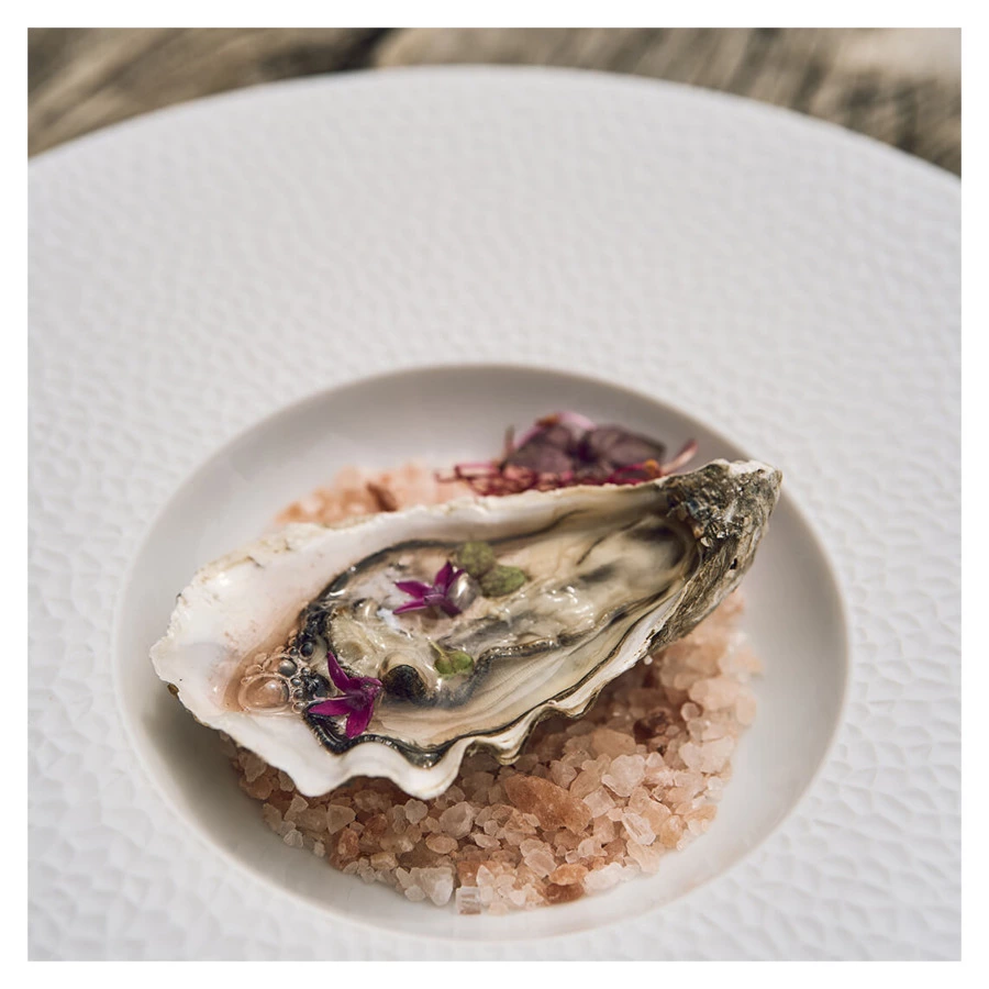 Блюдо Degrenne Boreal L Fragments 30 см, фарфор твердый, белое