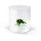 Стакан для воды WD Lifestyle Monterey Лягушка 250 мл, стекло, зеленый, п/к