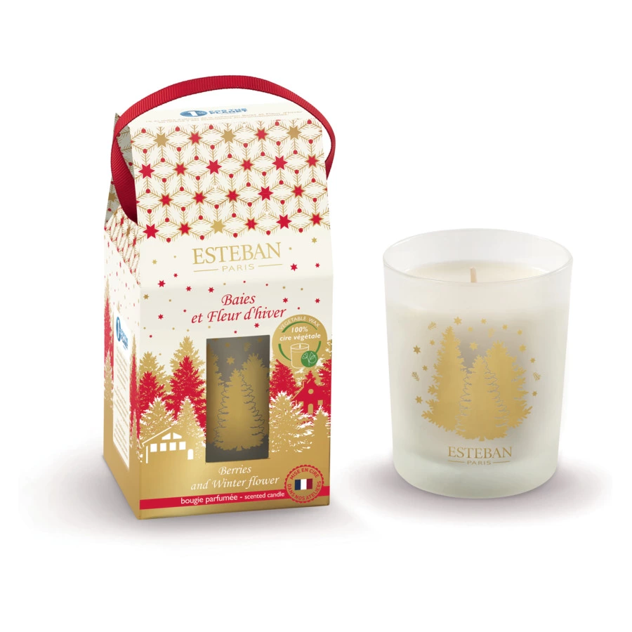Свеча ароматическая Esteban Морозная клюква 7х7х9 см,180 г