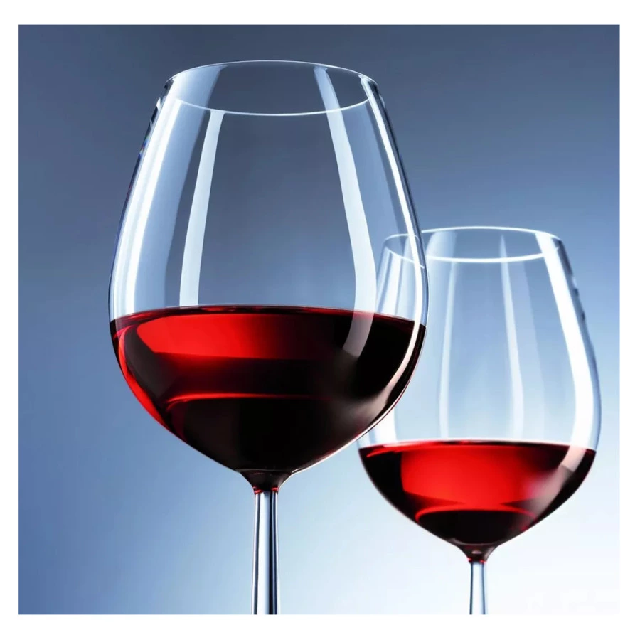 Набор бокалов для красного вина Schott Zwiesel Дива 840 мл, 2 шт-sale