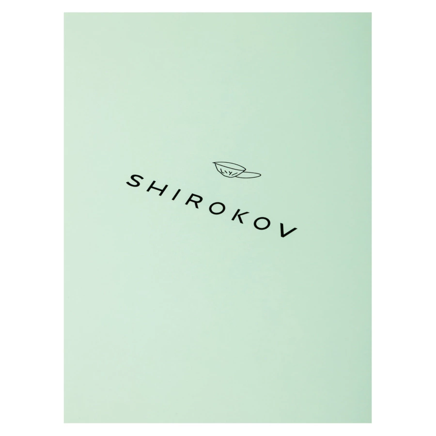 Сервиз столовый Shirokov Скетчбук Горошек на 4 персоны, 16 предметов, фарфор костяной,  п/к