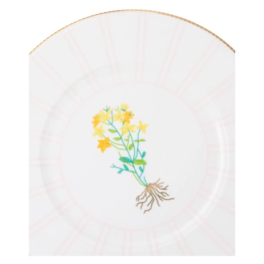 Тарелка обеденная Shirokov Гербарий Зверобой 28 см, фарфор костяной, позолота