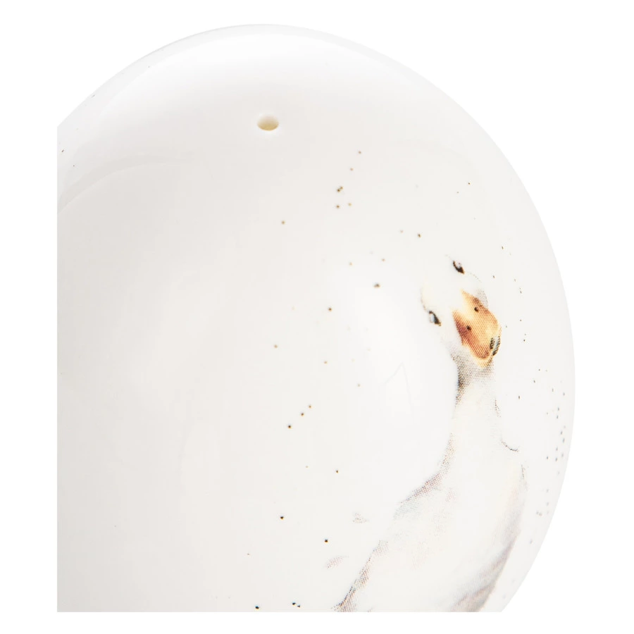 Набор из солонки и подставки Royal Worcester Забавная фауна Утки 8 см, фарфор костяной