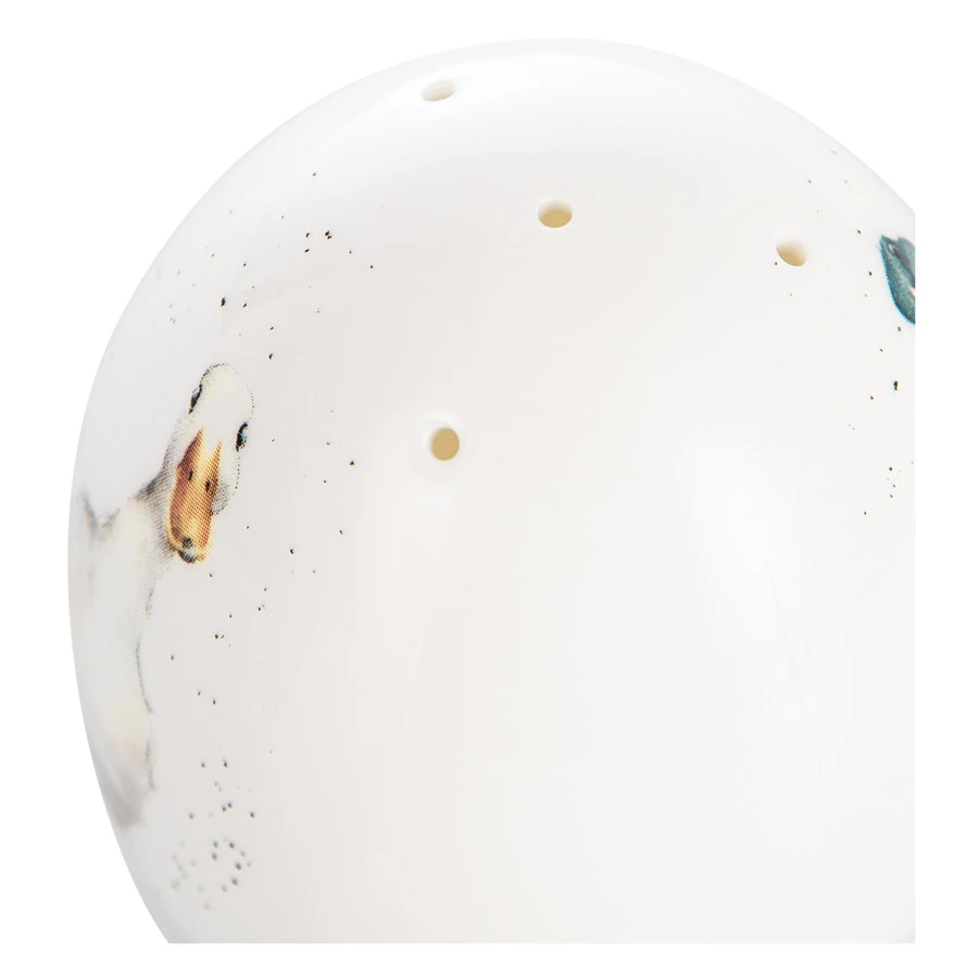 Набор из солонки и перечницы Royal Worcester Забавная фауна Утки 8 см, фарфор костяной