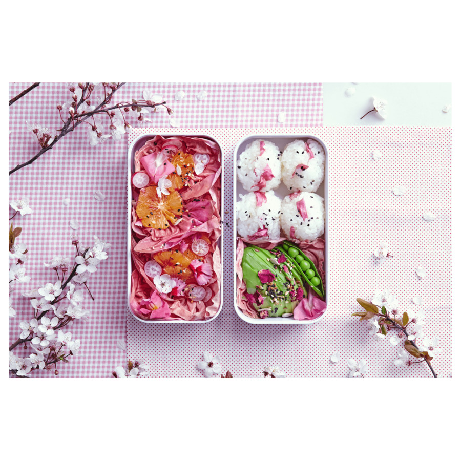 Ланч-бокс Monbento Original 9,8х18,1х10,5см, пластик, белый с цветами