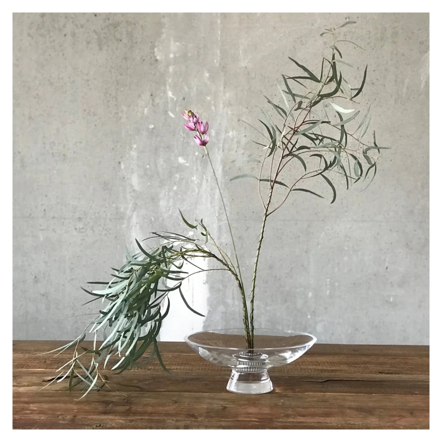 Чаша декоративная Nude Glass Силуэт 22 см, стекло хрустальное, прозрачная