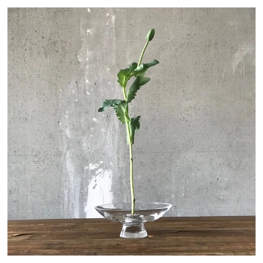 Чаша декоративная Nude Glass Силуэт 22 см, стекло хрустальное, прозрачная