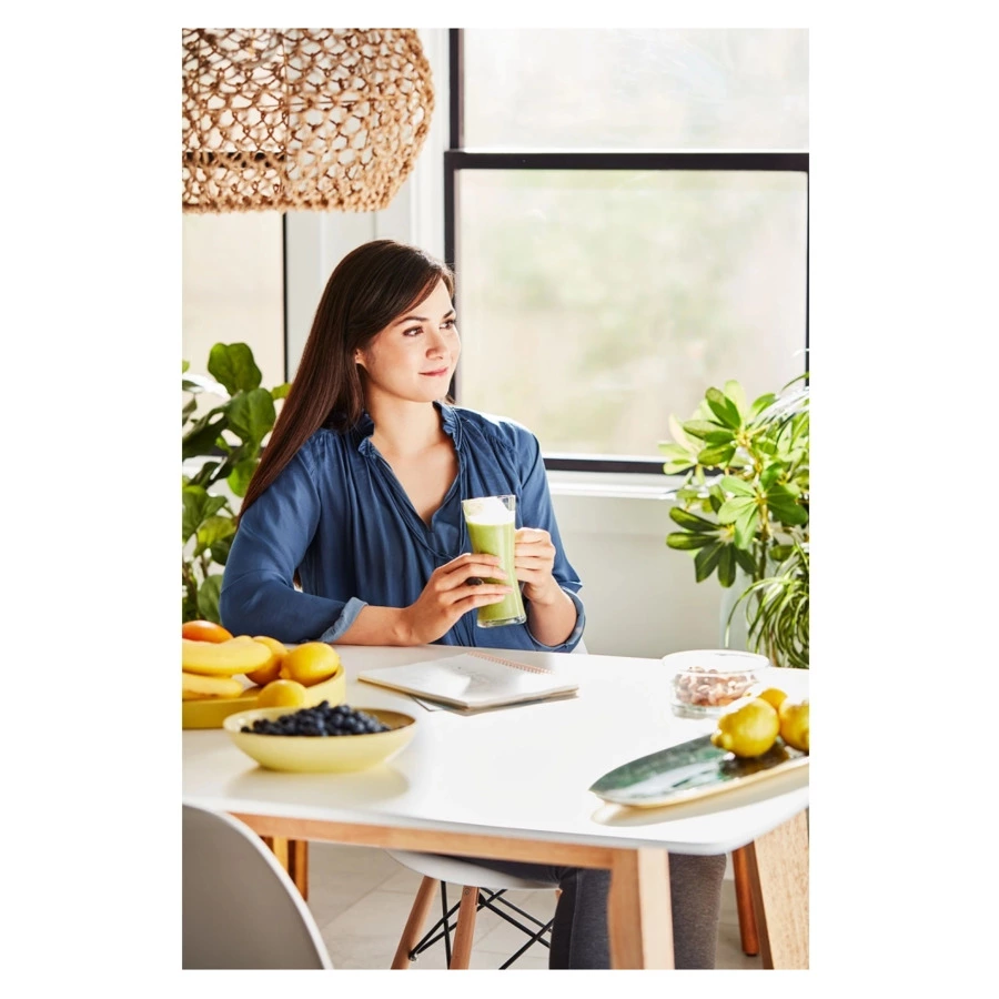 Блендер стационарный KitchenAid Artisan K400, стеклянный стакан 1,4 л, 5KSB4026EPP, пальмовый