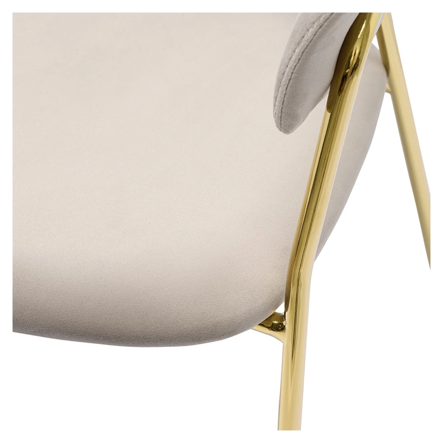 Стул Bergenson Bjorn Stefany, велюр, серый