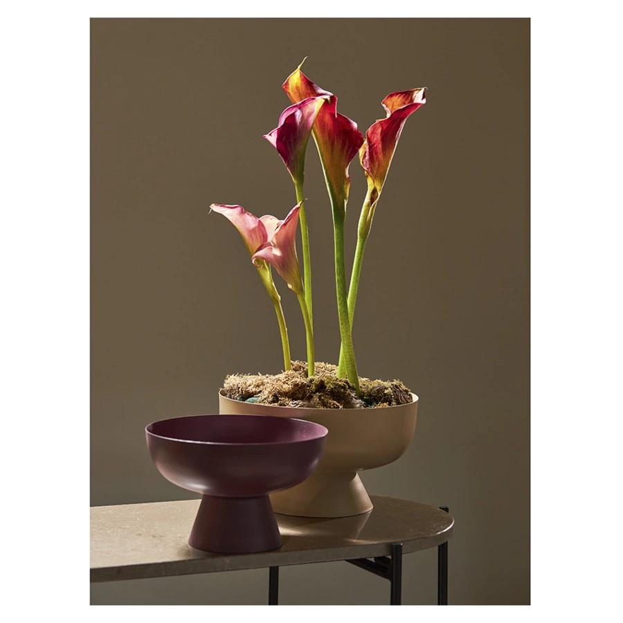 Блюдо на ножке Bergenson Bjorn Vivlend 25,5 см, бежевое, железо