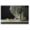 Блюдо сервировочное Liberty Jones White Cliffs 30 см, фарфор