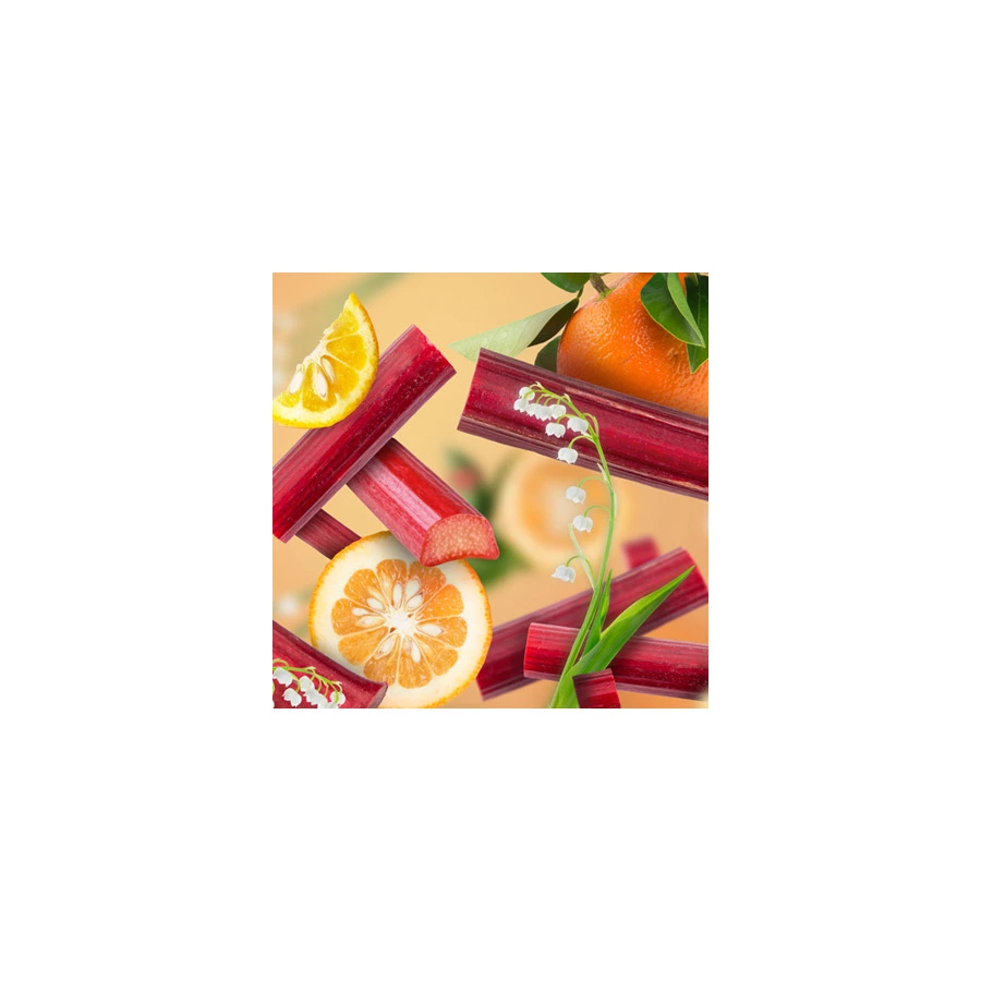 Аромат сменный для диффузора Maison Berger Яркий Ревень 200 мл