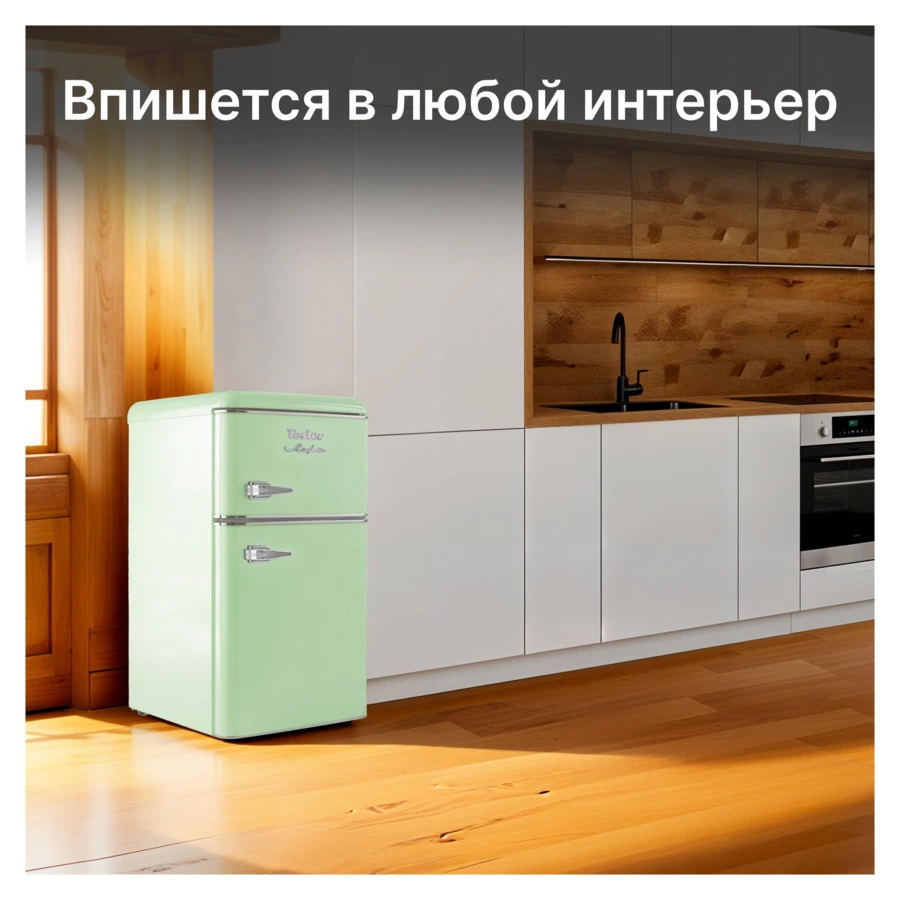 Холодильник двухкамерный TESLER RT-97 GREEN 90 л, 48,6х52х88,9 см, класс А+, зеленый