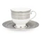 Чашка чайная с блюдцем Narumi Платиновый дуэт 270 мл, фарфор костяной