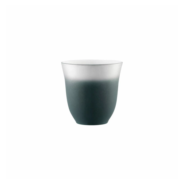 Кружка Degrenne ILLUSIONS SENCHA 250 мл, меняет цвет, серая, фарфор, п/к