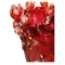 Ваза Decor de Table Pate de Verre Cristal Ирисы 32 см, хрустальное тесто, янтарно-красная, п/к