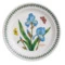 Тарелка закусочная Portmeirion Ботанический сад Ирис 20 см