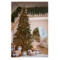 Набор елочных шаров Tkano New Year Essential Vivid moments, 10см, 3 шт, пластик