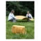 Плед для пикника и отдыха на пляже Smart Solutions Smart Picnic, горчичный