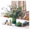 Кокотница Le Creuset Bamboo Green 200 мл, керамика, зеленый