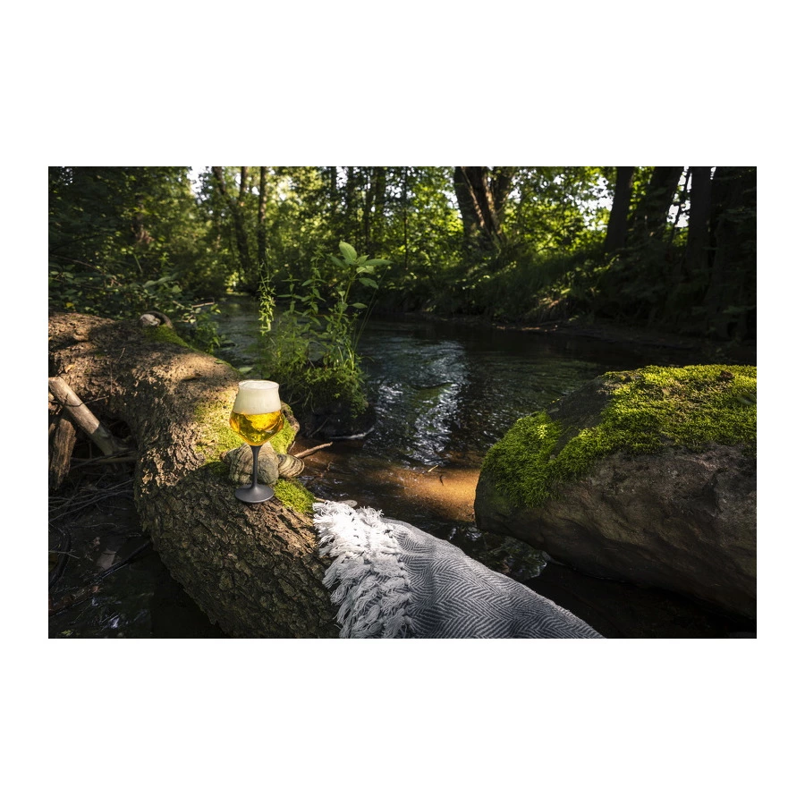 Набор бокалов для крафтового пива Eisch Craft Beer 435 мл, 2 шт, черный декор, ручная работа, п/к